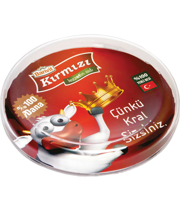 PT-1955 Yuvarlak Para Tabağı
