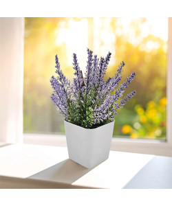 CK-2015 Bitki Yetiştirme Seti