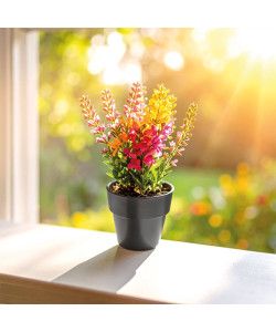 CK-2025 Bitki Yetiştirme Seti