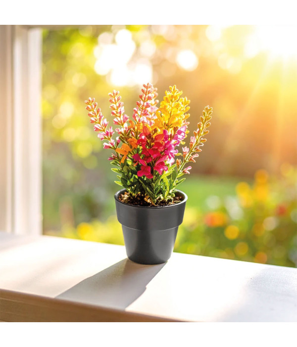 CK-2025 Bitki Yetiştirme Seti