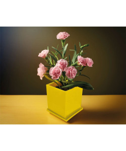 CK-2035 Kapaklı Bitki Dikim Seti