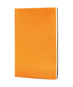 Erciyes-T Tarihsiz Defter