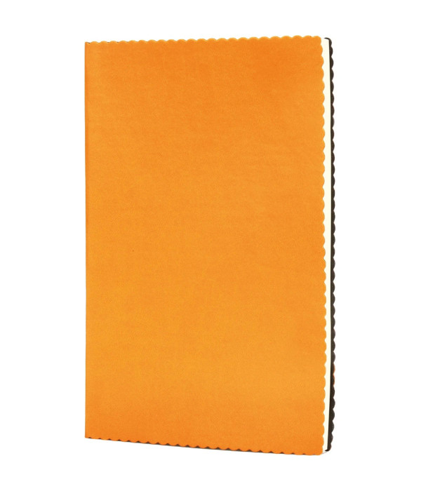 Erciyes-T Tarihsiz Defter