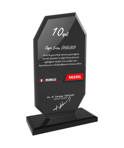 EKT-102-FM Kristal Plaket
