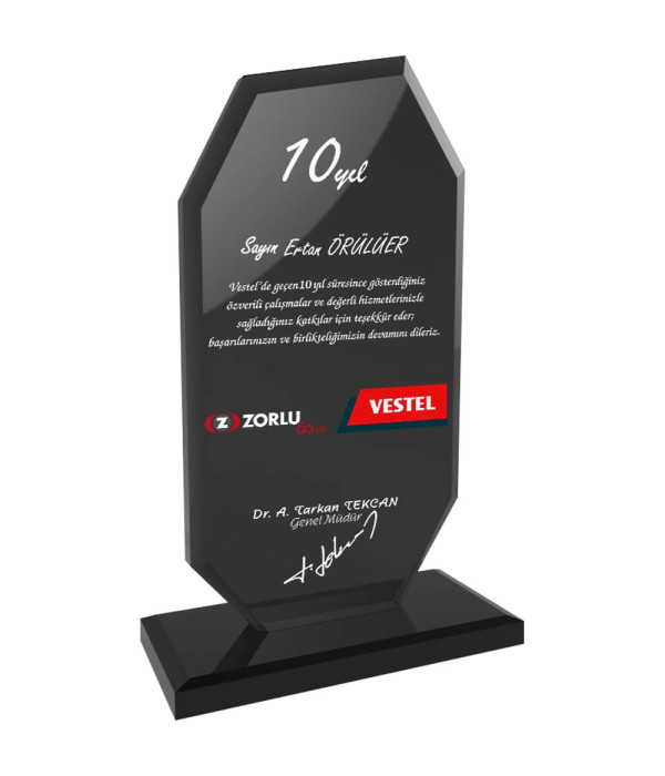 EKT-102-FM Kristal Plaket