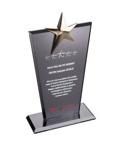 EKT-128 Kristal Plaket