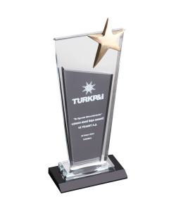 EKT-215 Kristal Plaket