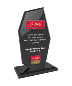 EKT-275-FM Kristal Plaket