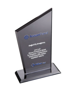EKT-310-FM Kristal Plaket