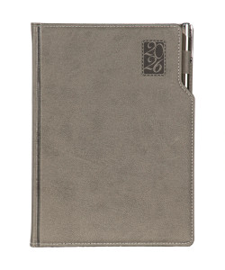 Başakşehir Günlük Ajanda